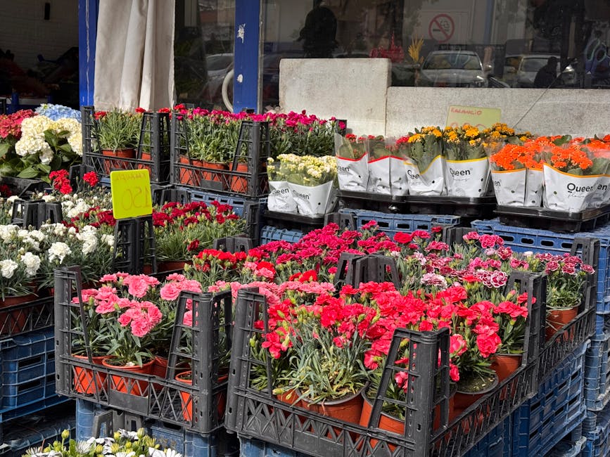 A display of various flowering plants arranged in plastic crates outside a shop, featuring a mix of pink, red, white, yellow, and orange blossoms. The flowers include carnations, primroses, and marigo