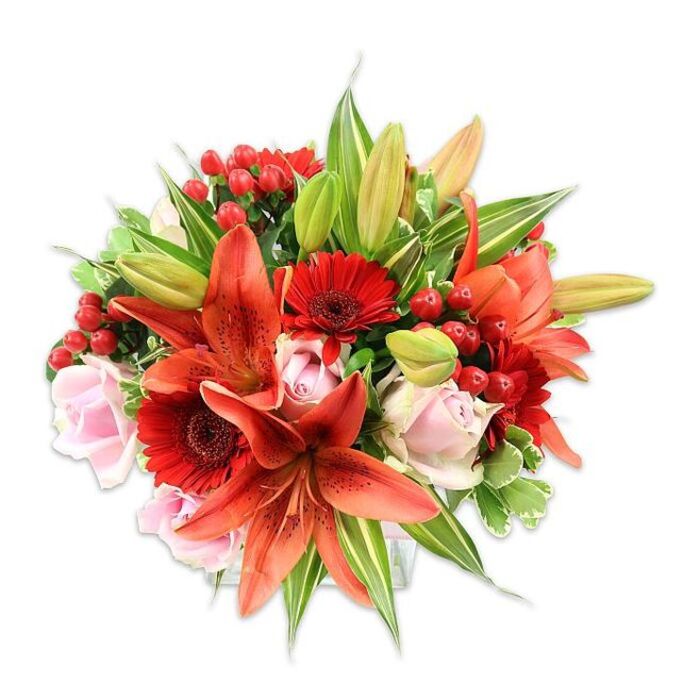 This luxurious, hand-styled bouquet is photographed against a clear white backdrop to highlight its saturated colours and textural details. Dominant Asiatic lilies in a luminous orange-red draw immediate attention, their broad, slightly waxy petals marked with delicate speckling and finished by prominent stamens that add fine points of contrast. Interspersed are vivid crimson Gerbera daisies, their radial petals forming energetic halos around darker central disks, which chart a visual pulse through the arrangement. Gentle blush-pink roses provide an elegant foil - their tightly furled centers and outer petals create layers of soft shadow and invite touching. Bright red hypericum berries appear in small clusters, adding glossy, bead-like accents that provide both visual punctuation and a pleasing tactile counterpoint to petal surfaces. The florist's layering is evident in the generous greenery: smooth broad leaves, slender lily foliage, and a few variegated sprigs lend depth, create negative space, and hold the bouquet's rounded silhouette. A handful of unopened lily buds promise evolving structure over several days, suggesting longevity and thoughtful selection. The overall mood is warm, festive, and composed - a bouquet that translates equally well for romantic celebrations, a joyous birthday, or as a striking arrangement to adorn a local event near Lea Bridge or the nearby Walthamstow Marshes. Lighting is soft and directional, emphasizing the sheen of the berries and the silky texture of the roses while keeping the composition crisply defined on white, a presentation choice often favoured by professional florists when documenting their work.