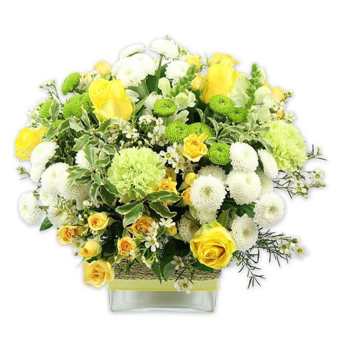 A vibrant, dome-shaped floral arrangement brimming with yellow, white, and green tones is showcased in a sleek, square glass vase, photographed on a clean white background so the structure and details stand out clearly. Central to the design are large yellow roses, some perfectly open to reveal their layered, spiralling petals, others still in bud with smooth, rounded forms that hint at blooms to come. These are surrounded by clusters of smaller yellow spray roses that add movement, as though the flowers have been gently gathered from a garden near Lea Bridge and composed with care. White pompom chrysanthemums provide rounded, cushion-like accents, their densely packed petals giving a plush, almost cloud-like softness. Scattered between them are vivid lime green button chrysanthemums, firm and globe-shaped, along with larger, lightly ruffled pale green blooms reminiscent of green carnations or specialty green mums, which bring a fresh, modern edge to the composition. Tiny, starry white filler flowers are threaded delicately throughout, brightening the gaps and softening the transitions between larger blooms. A lush frame of foliage anchors the arrangement, featuring broad variegated leaves with clean white margins and darker green leaves and sprigs that create depth and contrast, like layers of greenery along the paths of nearby Hackney Marshes. The clear glass vase reveals the stems within and is cinched at the middle with a rustic band that appears to be woven natural fibre or bark, topped with a bright lime ribbon that echoes the bouquet's zesty green tones. The arrangement exudes joy, freshness, and quiet celebration, perfect for birthdays, new beginnings, or simply bringing a touch of local Lea Bridge brightness into a home or office.